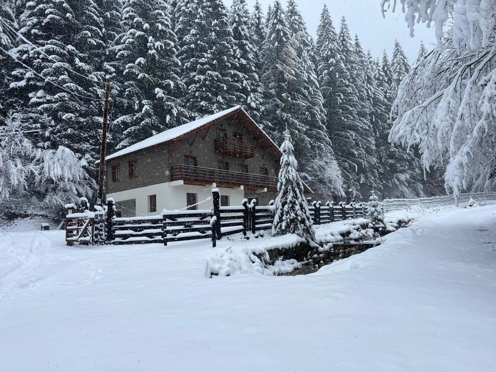 Chiba Chalet Timisu de Jos Bagian luar foto