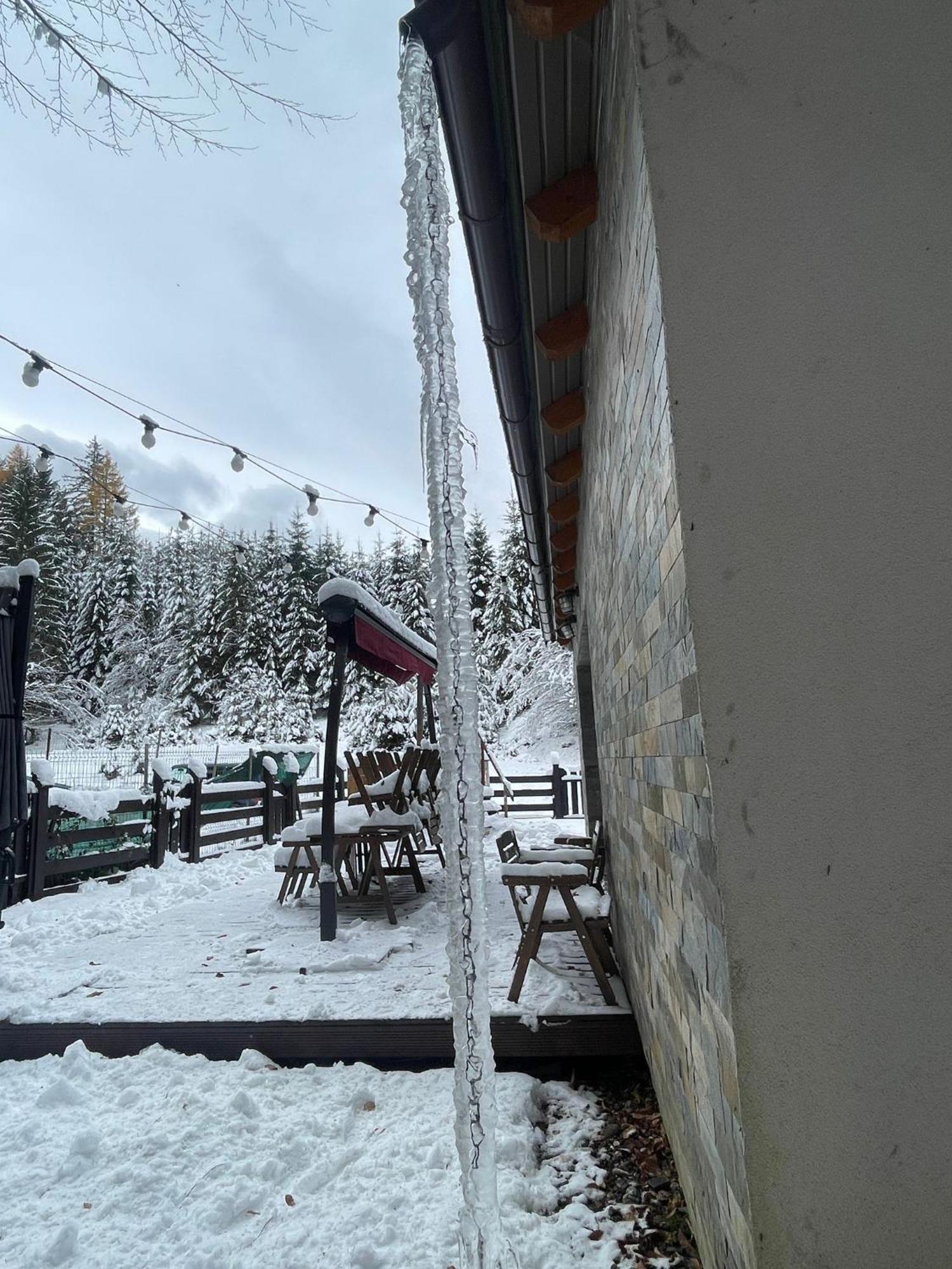 Chiba Chalet Timisu de Jos Bagian luar foto